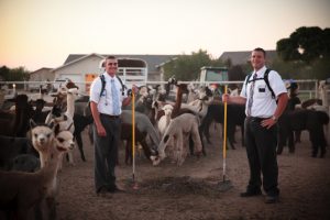mormon-missionaries-service-1178937-gallery