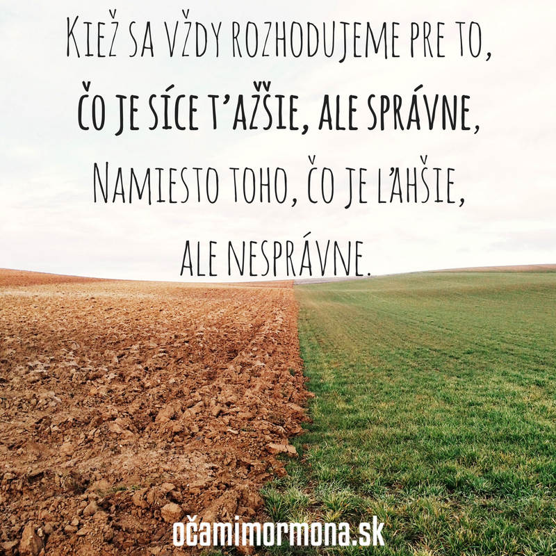 Správne rozhodnutia