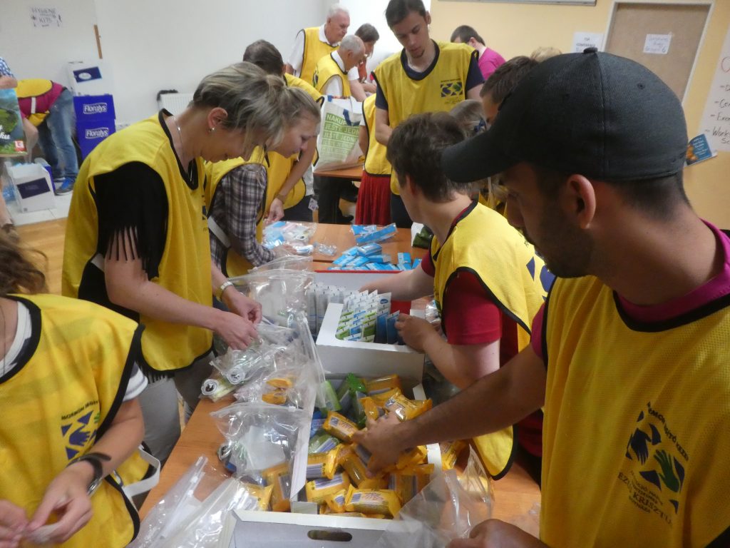 projekt služby